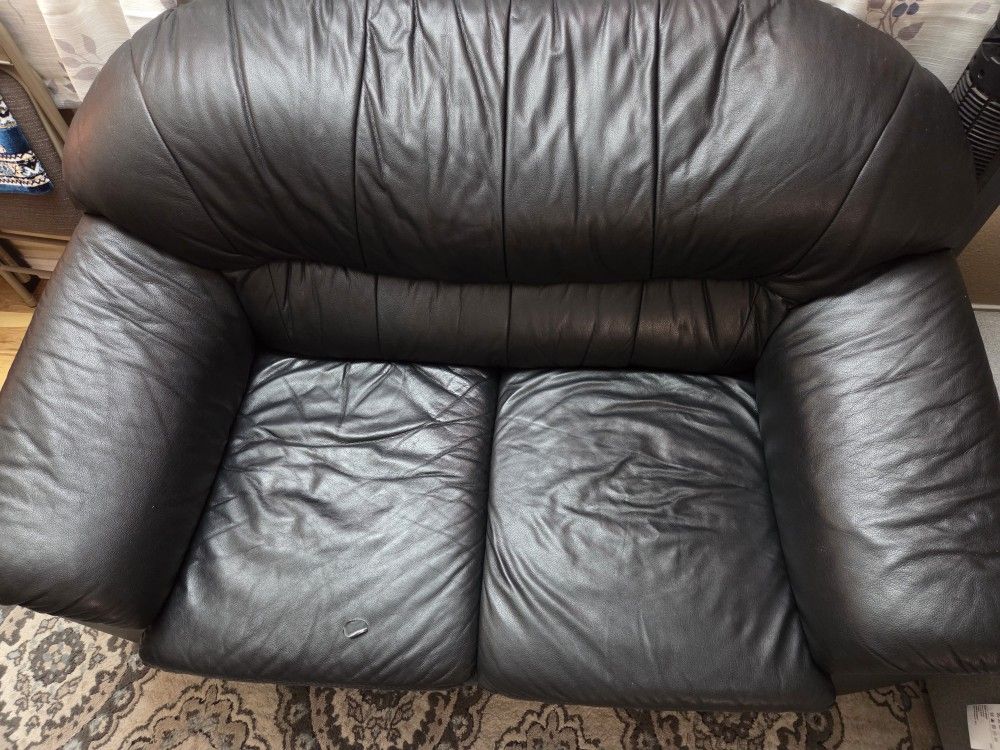 Leather Loveseat Sofa