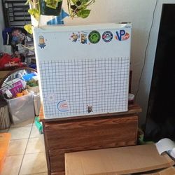Mini Fridge 