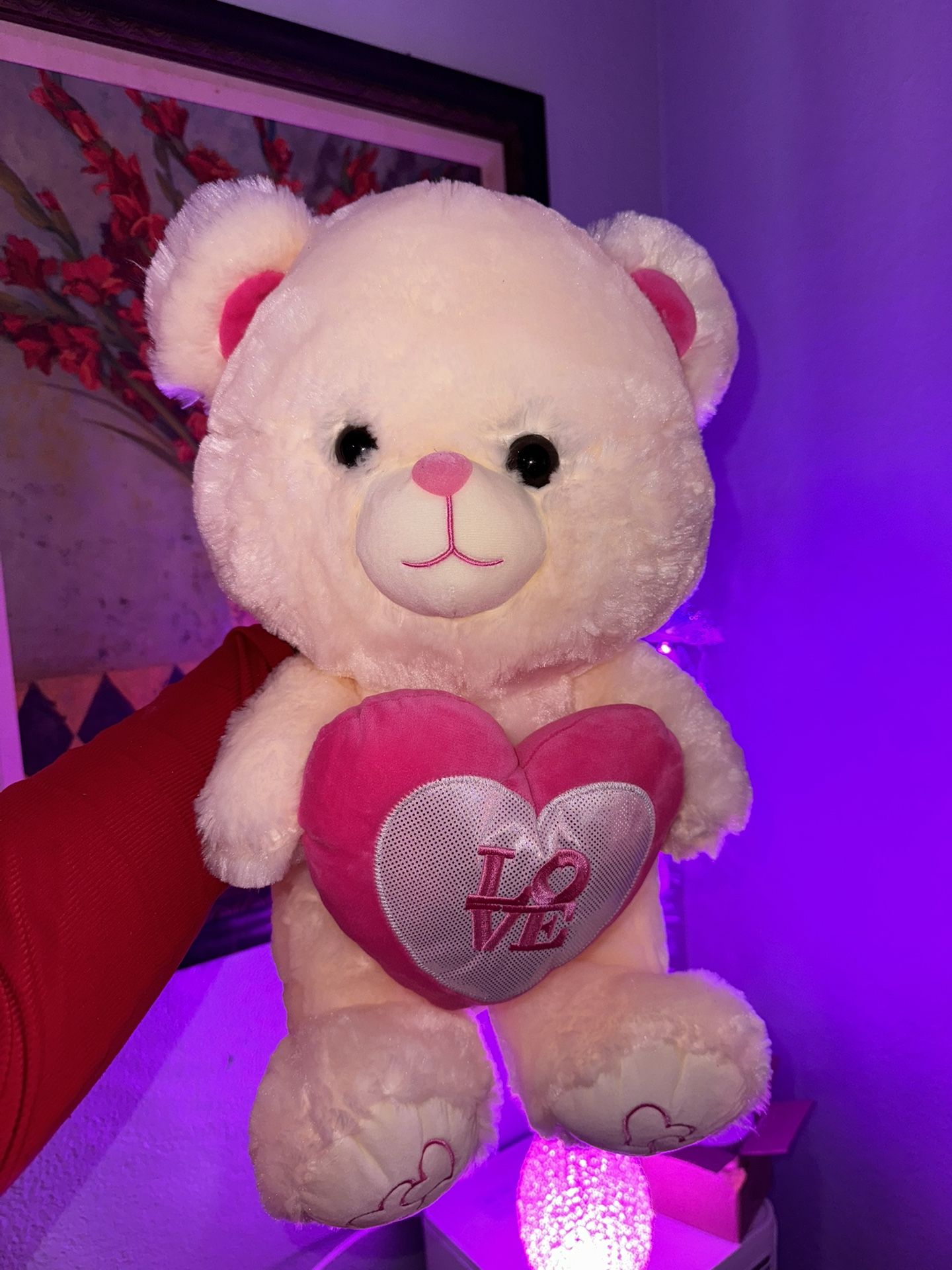 Valentine’s Day, Teddy Bear Gift