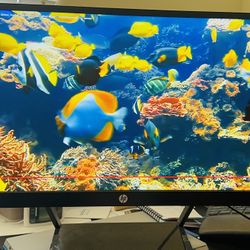 Pavilion 22cwa 21.5-inch IPS LED Backlit Monitor, pick up in Temple city