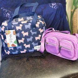 Fit and Fresh lunch tote and crossbody sport bag