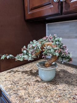 Artificial heavy weight plant decor $20 pick up only
