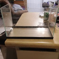 5 Gallon Fish Tanks