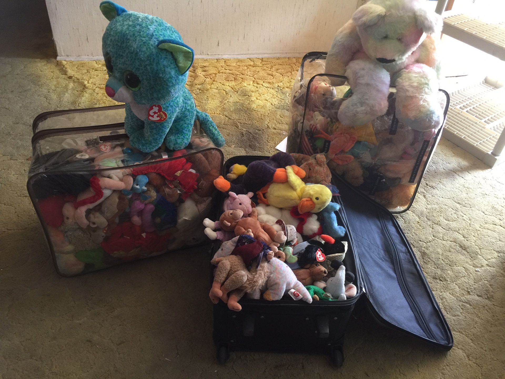 Huge beanie baby TY plush collection 100 plus
