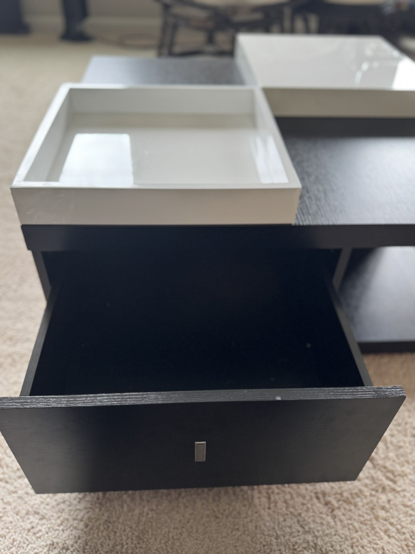 Coffee Table Contemporary With Storage