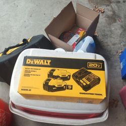 Dewalt 20 V Max Starter Kit