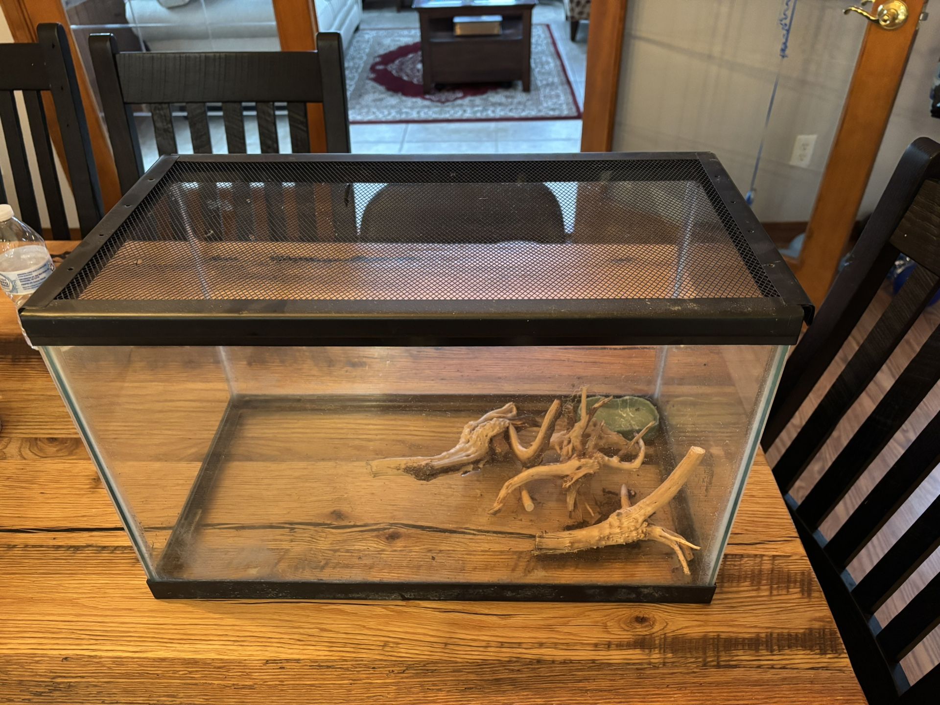 10 Gallon Terrarium