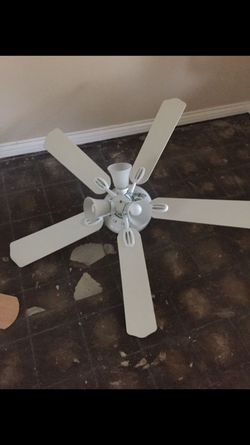 White fan