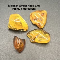 Mexican Genuine Amber 4pcs 5.7g Total HIGHLY FLUORESCENT