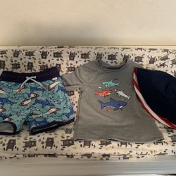 Toddler Boy Swimming Shorts/shorts