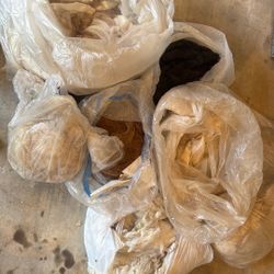 alpaca wool 