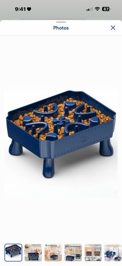 raised slow feeder dog bowl