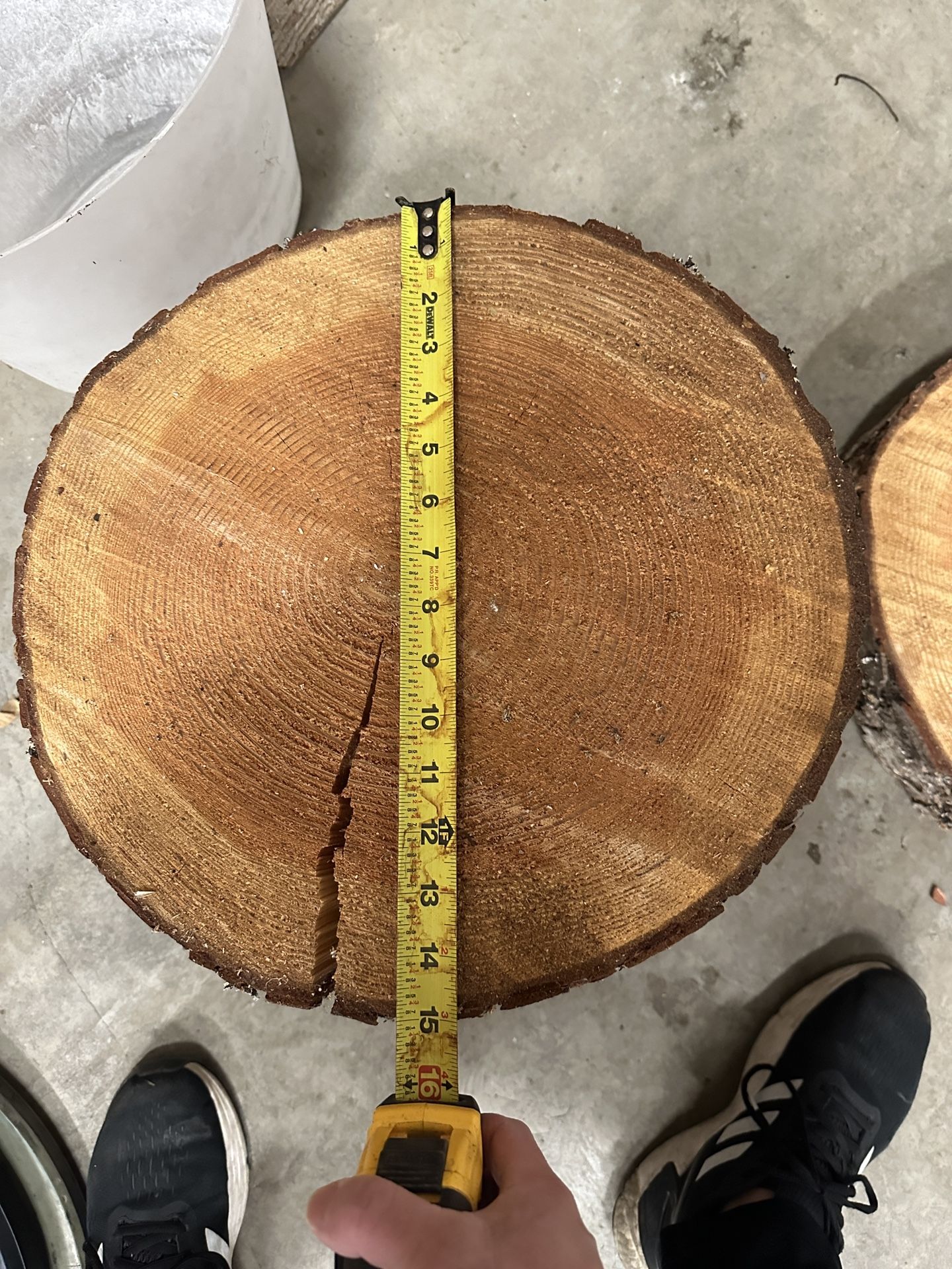 Live Wood Rounds
