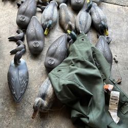 Vintage Duck Decoys