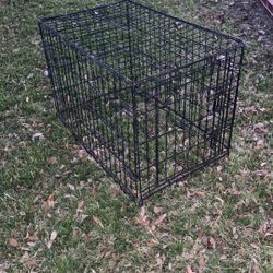 Dog Cage
