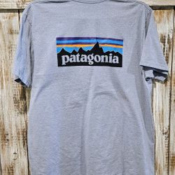 Men's Patagonia Graphic t-shirt (XL) Regular Fit Light Blue!