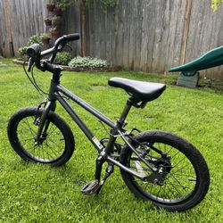 Kid’s Priority Belt Drive 16” Bike
