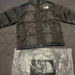 The Nort Face Jacket 