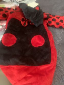 Ladybug Newborn To 3 Months Old 