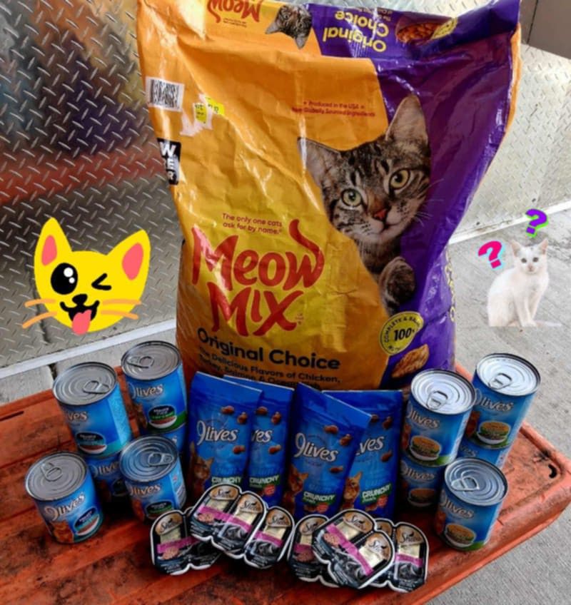 Cat food Bundle 3 Pics Included For Add