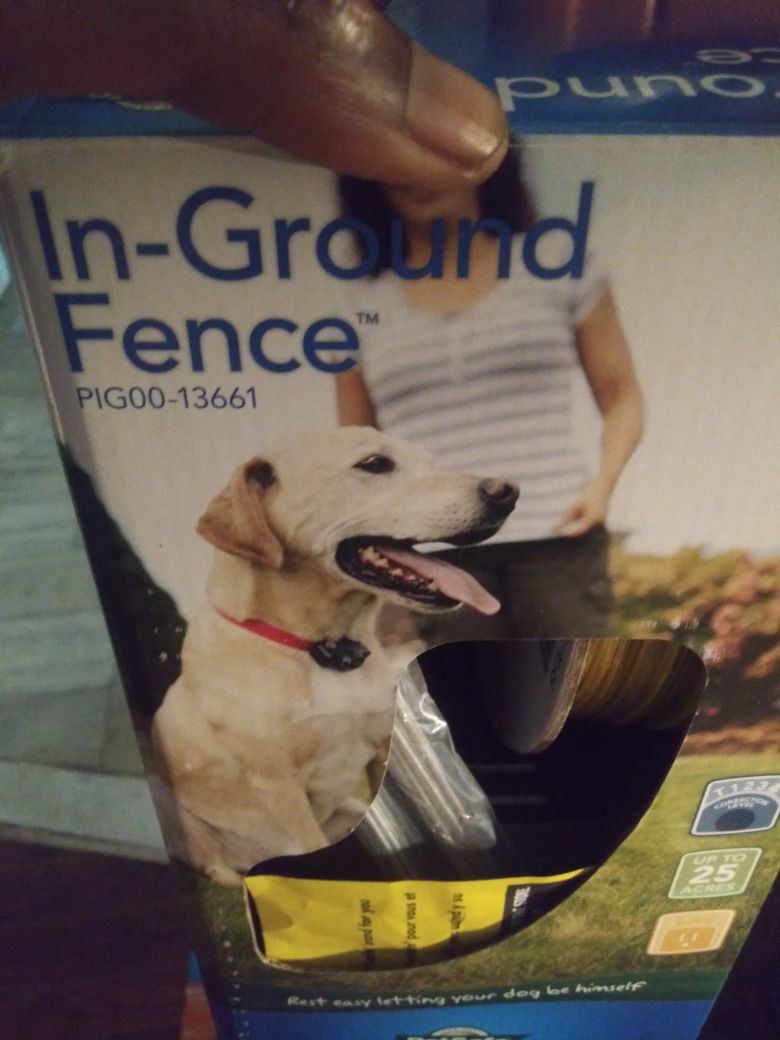 In ground fence