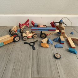 Tegu Magnetic 