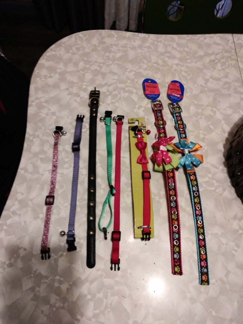 Leashes