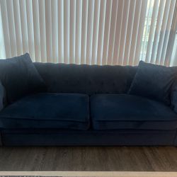 Blue Tufted Couch With FREE RUG