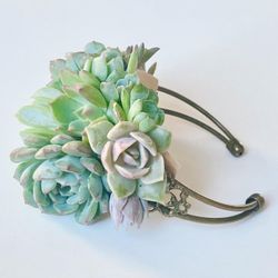 Succulent Corsages