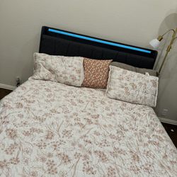 Queen Size Storage Bed w/ Mattress - $275