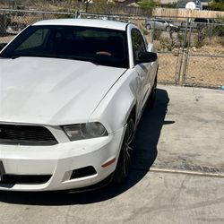 2010 Ford Mustang