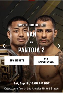 UFC 331
