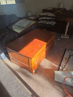 Free coffee table with storage