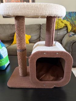 Cat Tree with Condo and Scratching Post