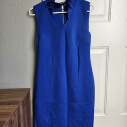 Blue Calvin Klein Dress