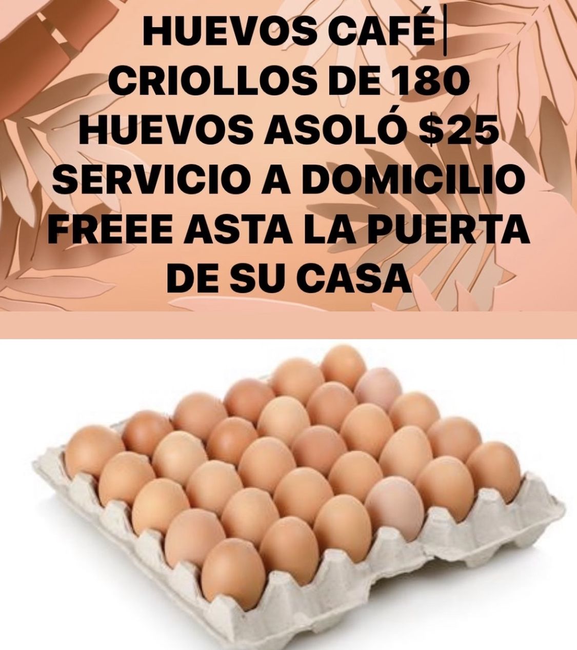 HUEVOS CRIOLLOS