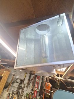 Hydroponic grow lights