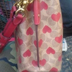 Coach Heart Willow Bucket Bag