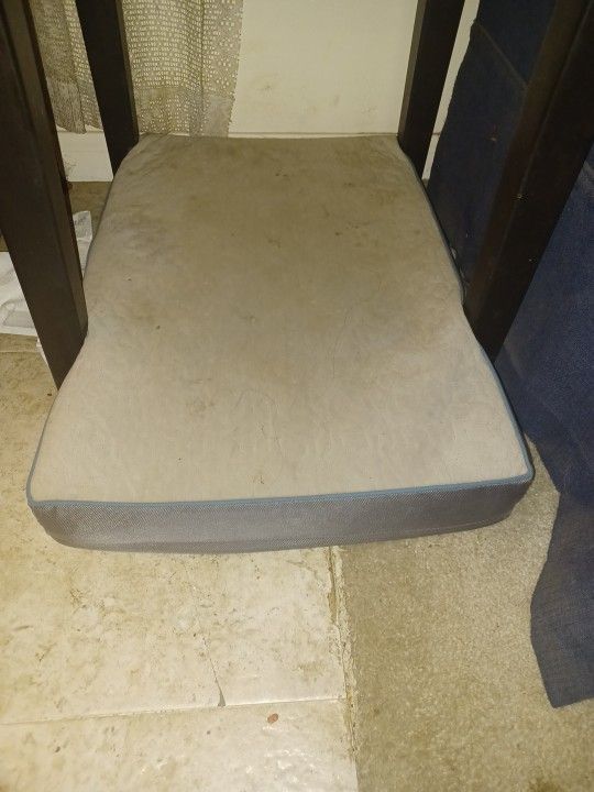 Dog Bed