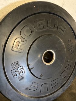 Rogue bumper plates and various gym equipment