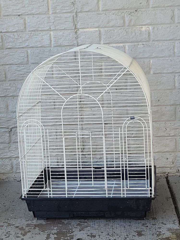 Bird Cage 