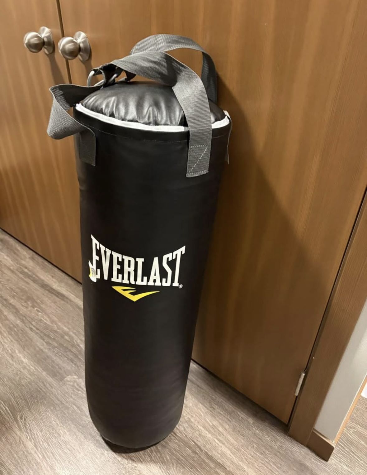 Everlast Hanging Punching Bag