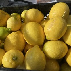 Juice full Big Lemons For Sale  12 For $5 