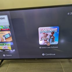43" LG TV 