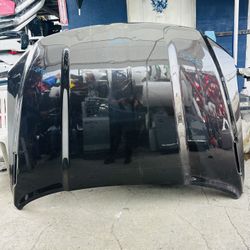 2019-2024 Dodge Ram 1500 Hood Oem