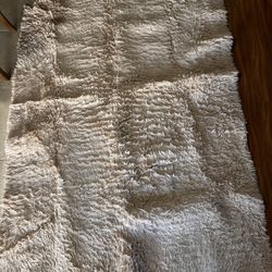 8 x 5 Furry Rug