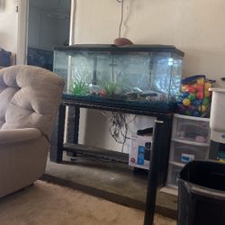 Fish Tank