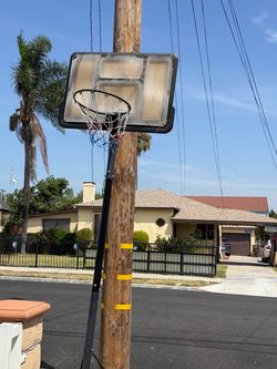 Basket ball hoop