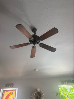 Fan#3