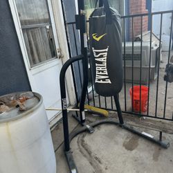 Everlast Punching Bag 